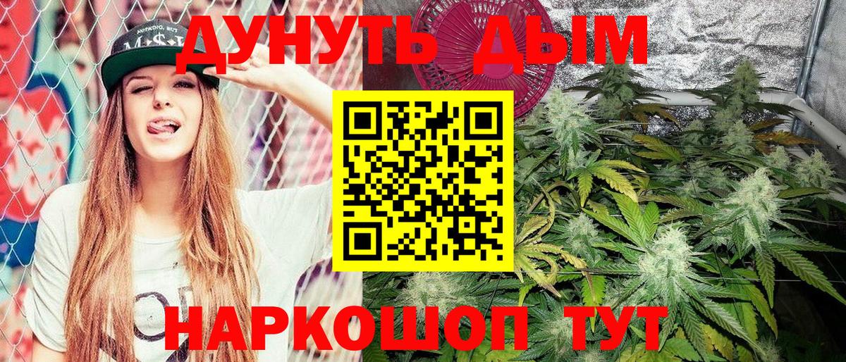 Бошки марихуана гибрид  Канабис VHQ  Электрогорск  Бошки марихуана марихуана  Вход с VPN 